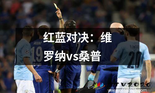 红蓝对决：维罗纳vs桑普