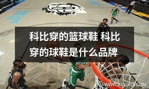 科比穿的篮球鞋 科比穿的球鞋是什么品牌