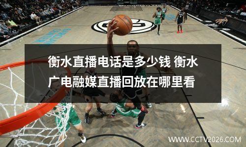 衡水直播电话是多少钱 衡水广电融媒直播回放在哪里看