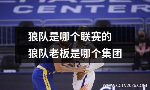 狼队是哪个联赛的 狼队老板是哪个集团