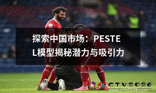 探索中国市场：PESTEL模型揭秘潜力与吸引力