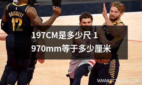 197CM是多少尺 1970mm等于多少厘米