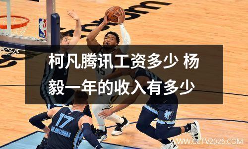 柯凡腾讯工资多少 杨毅一年的收入有多少