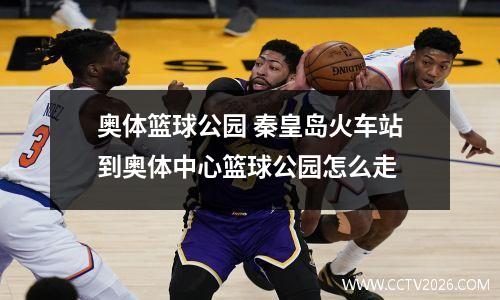 奥体篮球公园 秦皇岛火车站到奥体中心篮球公园怎么走