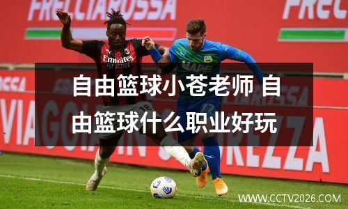 自由篮球小苍老师 自由篮球什么职业好玩
