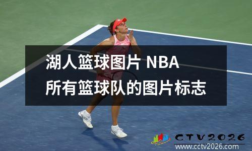 湖人篮球图片 NBA所有篮球队的图片标志