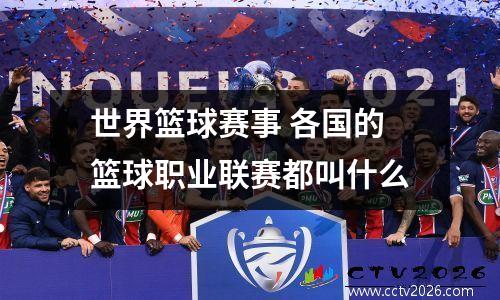 世界篮球赛事 各国的篮球职业联赛都叫什么