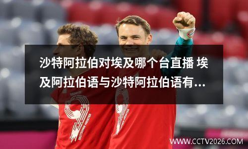 沙特阿拉伯对埃及哪个台直播 埃及阿拉伯语与沙特阿拉伯语有什么不同吗