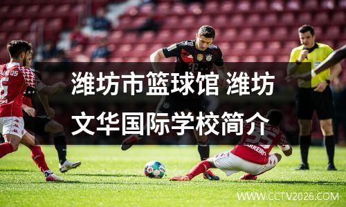 潍坊市篮球馆 潍坊文华国际学校简介
