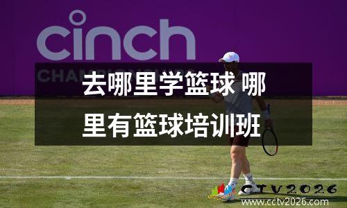 去哪里学篮球 哪里有篮球培训班