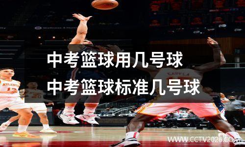 中考篮球用几号球 中考篮球标准几号球