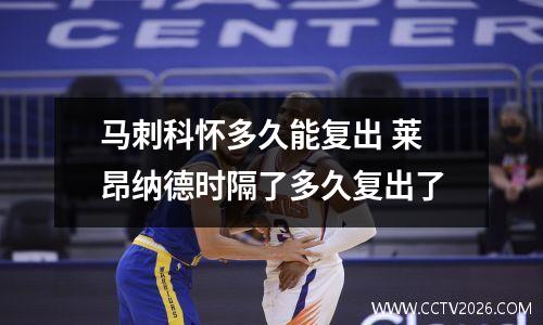 马刺科怀多久能复出 莱昂纳德时隔了多久复出了