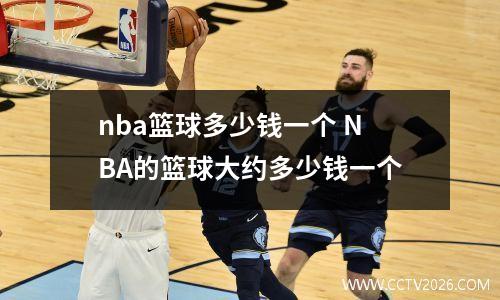 nba篮球多少钱一个 NBA的篮球大约多少钱一个