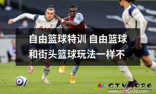 自由篮球特训 自由篮球和街头篮球玩法一样不