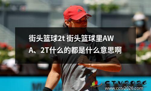 街头篮球2t 街头篮球里AWA、2T什么的都是什么意思啊