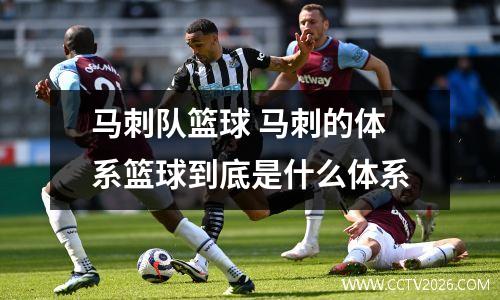 马刺队篮球 马刺的体系篮球到底是什么体系