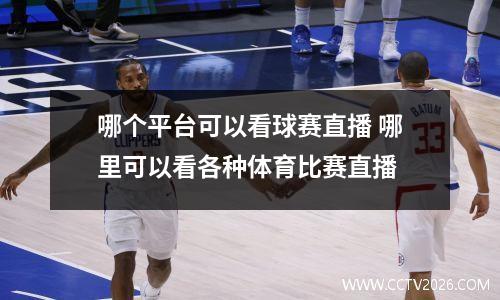 哪个平台可以看球赛直播 哪里可以看各种体育比赛直播