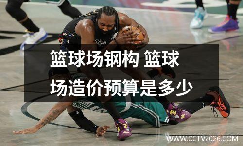 篮球场钢构 篮球场造价预算是多少