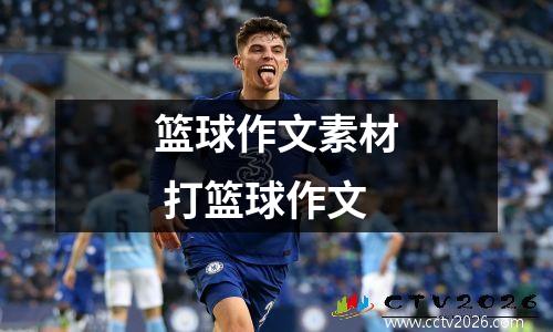 篮球作文素材 打篮球作文