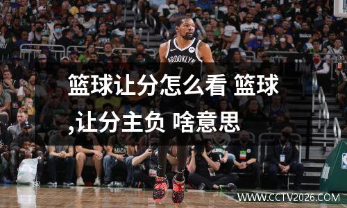 篮球让分怎么看 篮球,让分主负 啥意思