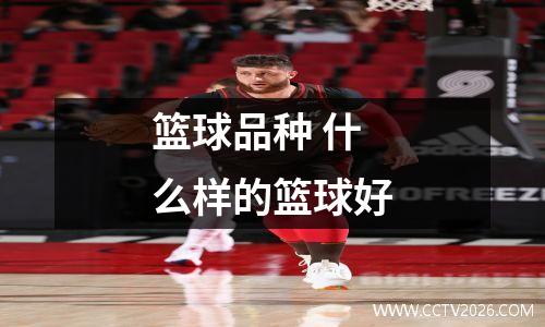 篮球品种 什么样的篮球好