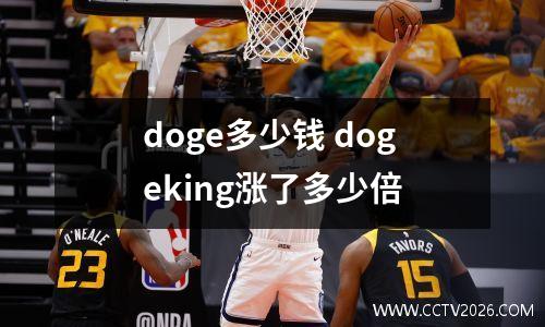 doge多少钱 dogeking涨了多少倍
