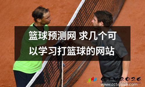 篮球预测网 求几个可以学习打篮球的网站