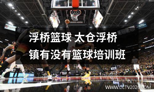 浮桥篮球 太仓浮桥镇有没有篮球培训班