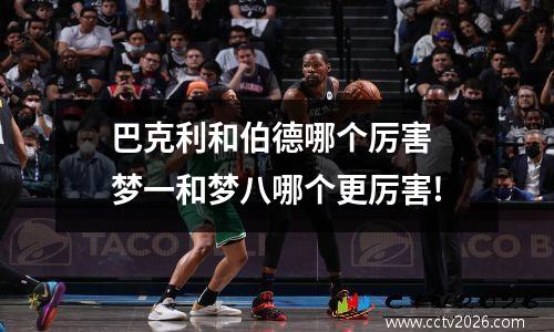 巴克利和伯德哪个厉害 梦一和梦八哪个更厉害!