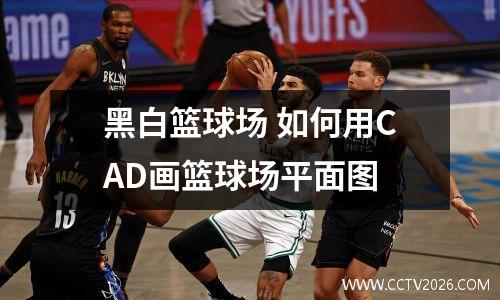 黑白篮球场 如何用CAD画篮球场平面图