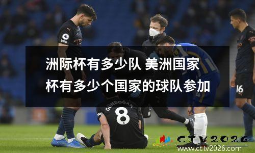 洲际杯有多少队 美洲国家杯有多少个国家的球队参加