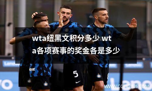 wta纽黑文积分多少 wta各项赛事的奖金各是多少
