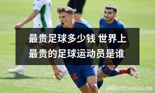 最贵足球多少钱 世界上最贵的足球运动员是谁