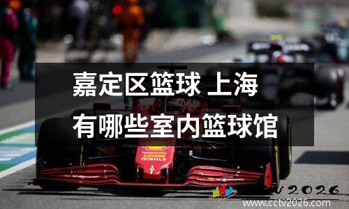 嘉定区篮球 上海有哪些室内篮球馆