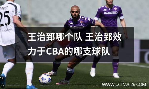 王治郅哪个队 王治郅效力于CBA的哪支球队