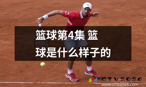 篮球第4集 篮球是什么样子的