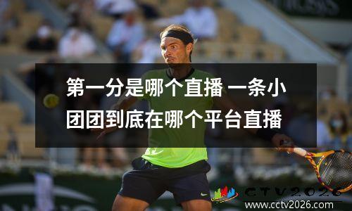 第一分是哪个直播 一条小团团到底在哪个平台直播