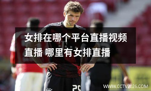 女排在哪个平台直播视频直播 哪里有女排直播