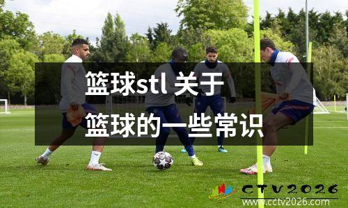 篮球stl 关于篮球的一些常识
