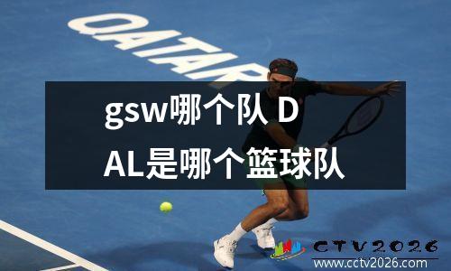 gsw哪个队 DAL是哪个篮球队