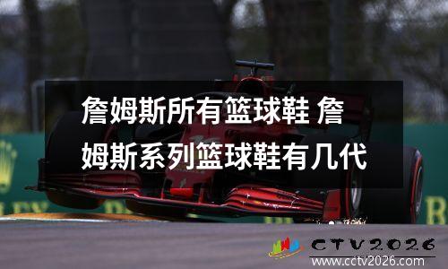 詹姆斯所有篮球鞋 詹姆斯系列篮球鞋有几代