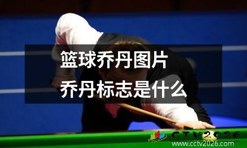 篮球乔丹图片 乔丹标志是什么