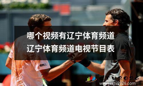 哪个视频有辽宁体育频道 辽宁体育频道电视节目表