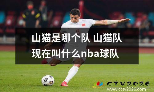 山猫是哪个队 山猫队现在叫什么nba球队