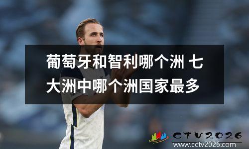 葡萄牙和智利哪个洲 七大洲中哪个洲国家最多