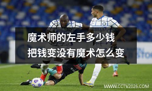 魔术师的左手多少钱 把钱变没有魔术怎么变