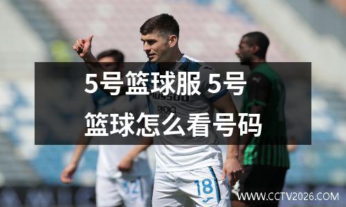 5号篮球服 5号篮球怎么看号码