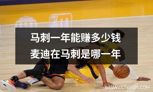 马刺一年能赚多少钱 麦迪在马刺是哪一年
