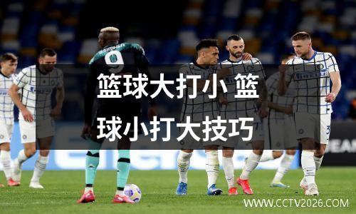 篮球大打小 篮球小打大技巧