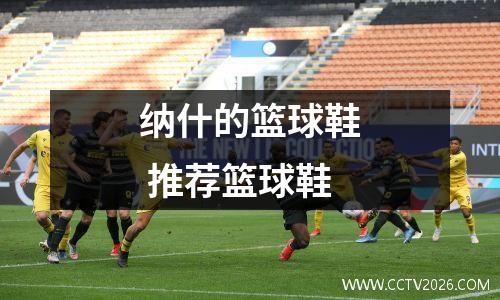 纳什的篮球鞋 推荐篮球鞋